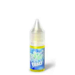 Flacon de 10 ml d'e-liquide Icee Mint Esalt de la gamme Fruizee