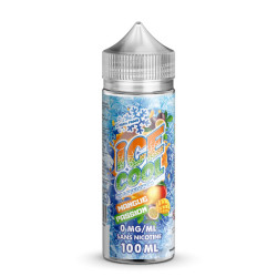Flacon de 100 ml d'e-liquide Mangue Passion de la gamme Ice Cool