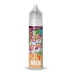 Flacon de 50 ml d'e-liquide Cranberry Baies Rouges de la gamme Iceberg