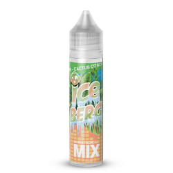 Flacon de 50 ml d'e-liquide Pêche Cactus Citron de la gamme Iceberg