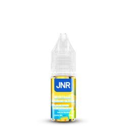 Flacon de 10 ml d'e-liquide Blueberry Pomegranate Ice de la marque JNR