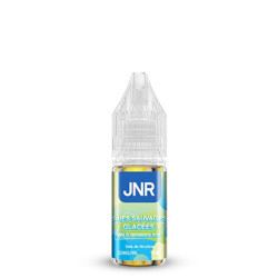 Flacon de 10 ml d'e-liquide Wild Berries Ice de la marque JNR