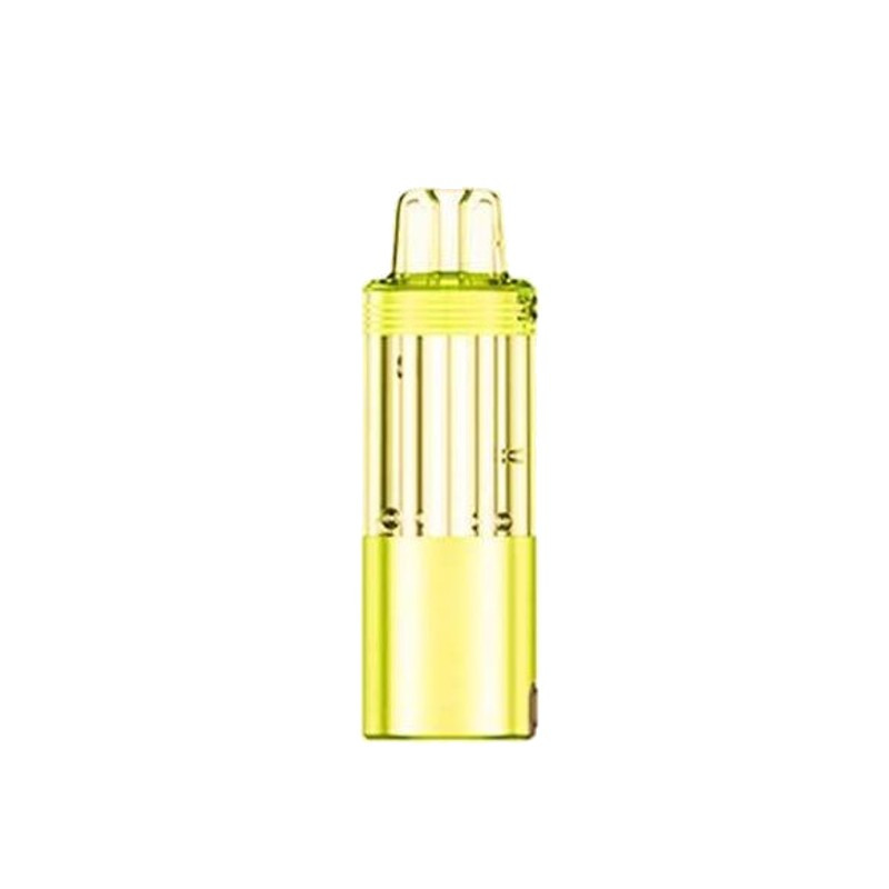 Cartouche vide Meteorite 100K - JNR (5/6)