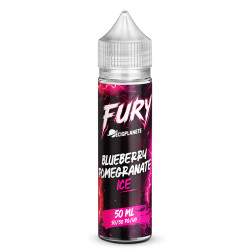 Blueberry Pomegranate 50ml - Fury