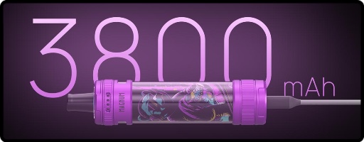 Une autonomie de 3800mAh