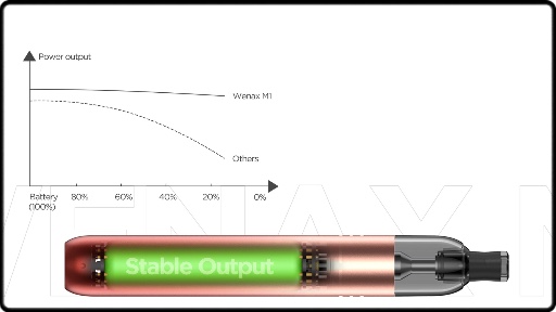 La batterie intégrée de 800mAh du pod Wenax M1