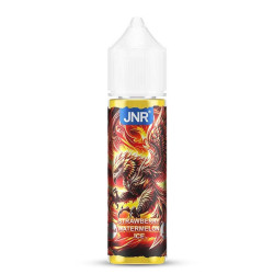 Flacon de 50 ml d'e-liquide Strawberry Watermelon Ice de la marque JNR
