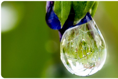 Peut-on vapoter des huiles essentielles ? Phytovape et risques