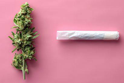 New : Les prérolls CBD