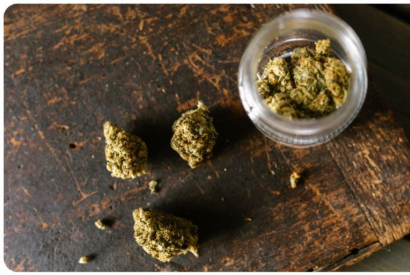 Comment conserver ses fleurs de CBD ?
